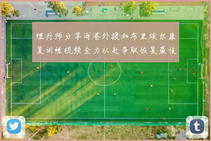 理疗师分享海港外援加布里埃尔康复训练视频全力以赴争取恢复最佳状态